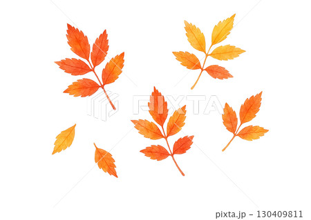 秋の紅葉の小枝イラスト 130409811