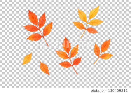 秋の紅葉の小枝イラスト 130409811