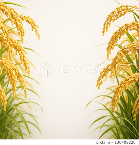 黄金の稲穂フレーム（中央白背景コピースペース） 130409820