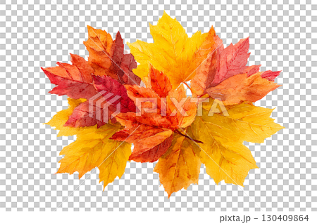 一堆落葉的插圖 130409864