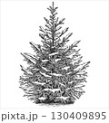 Hand drawn snowy spruce tree. Vector illustration. 130409895