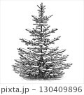 Hand drawn snowy spruce tree. Vector illustration. 130409896
