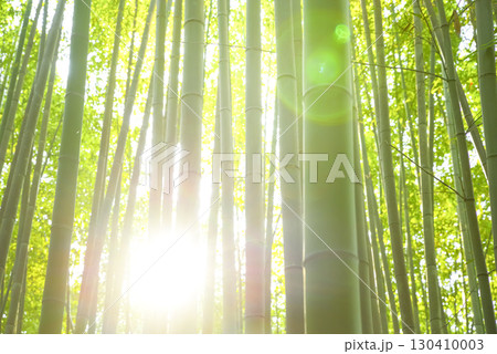 京都嵐山 竹林の小径の自然美 京都嵐山 竹林の小径の自然美 130410003