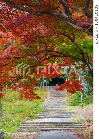 真っ赤な紅葉の山崎聖天 真っ赤な紅葉の山崎聖天 130410105