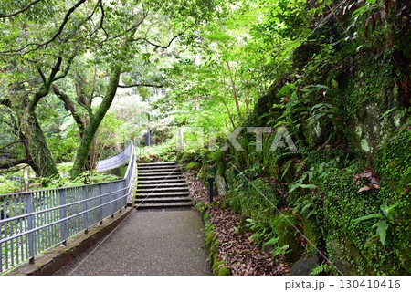 湯河原町　万葉公園湯河原惣湯文学の小径と新緑 130410416