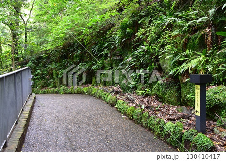 湯河原町　万葉公園湯河原惣湯文学の小径と新緑 130410417