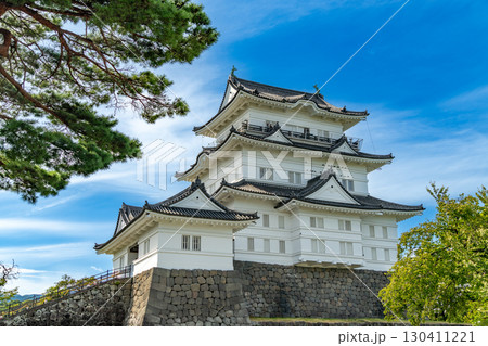 青空に映える小田原城 130411221