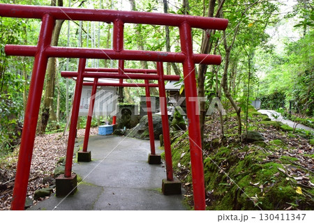 湯河原町　万葉公園湯河原惣湯の狸福神社と文学の小径 130411347