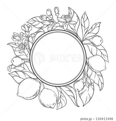Lime Branch with Fruits Outline Round Frame Lime Branch with Fruits Outline Round Frame 130411498