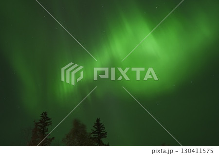 カナダ イエローナイフ オーロラビレッジからのオーロラ風景 130411575