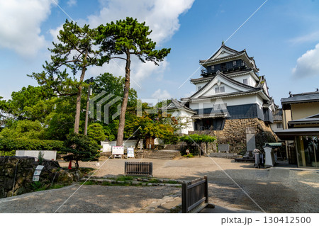 早朝の岡崎城 130412500