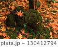 秋に彩られた苔と紅葉の景色 130412794
