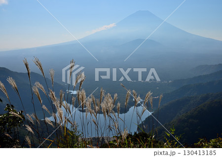 御坂山地の精進峠展望台からの富士山と精進湖にススキ 130413185