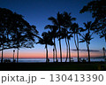 ワイキキビーチ 130413390