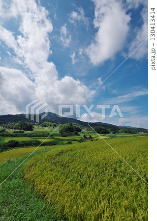 実った稲穂と棚田風景（島根県安来市広瀬町） 130413414