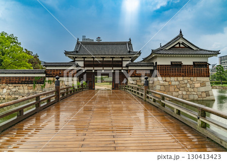 雨に濡れた広島城 雨に濡れた広島城 130413423