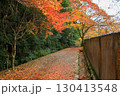 紅葉の落ち葉の道 130413548