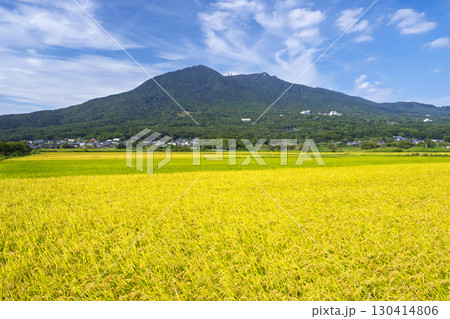 筑波山と南側山麓の初秋の水田 筑波山と南側山麓の初秋の水田 130414806