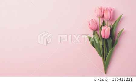 Gentle pink tulips create a romantic atmosphere, celebrating spring, love, and women's day, on a pastel pink background with copy space for text or design elements 130415221