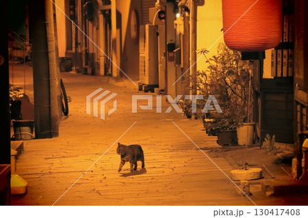 深夜の路地を彷徨う猫 深夜の路地を彷徨う猫 130417408