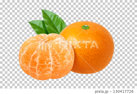 Mandarin orange illustration realistic white background Mandarin orange illustration realistic white background 130417726