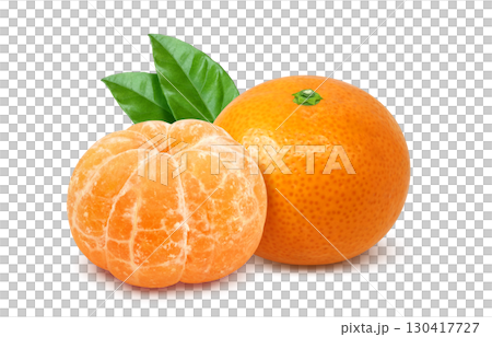Mandarin orange illustration realistic white background 130417727
