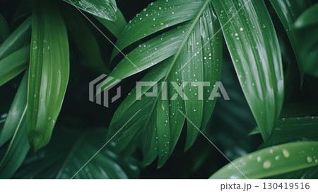 Close up of vibrant green leaves glistening with fresh raindrops, showcasing the beauty of nature after a refreshing rain shower, creating a tranquil and eco friendly atmosphere 130419516