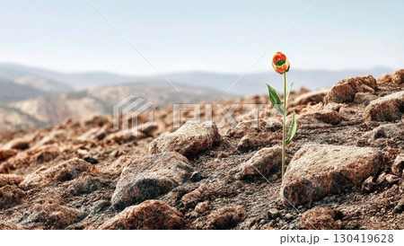 A single orange flower bravely blooms amidst a rocky, arid landscape, symbolizing resilience and hope in harsh conditions 130419628