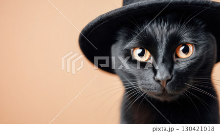 Black cat wearing a stylish black hat poses against a warm background, embodying a whimsical Halloween spirit and playful charm 130421018