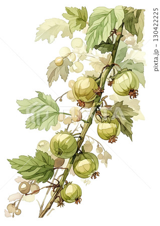 Explore the elegance of nature with this beautiful digital watercolor illustration 130422225