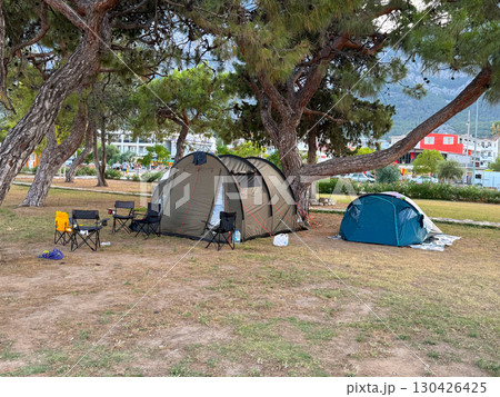 Two camping tents with folding chairs under tall pine trees. Outdoor camping, recreation, and summer holiday in nature. 130426425