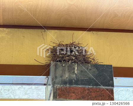 Bird nest made of twigs placed on top of a building structure. Wildlife, habitat and ecology represented through animal behavior, shelter and natural survival. 130426566