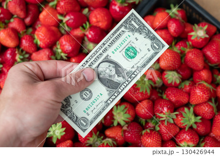 American one dollar bill in hand of a man, fresh ripe strawberries on the background. Selling berries, fruits and vegetables from own garden, earning money on gardening concepts 130426944