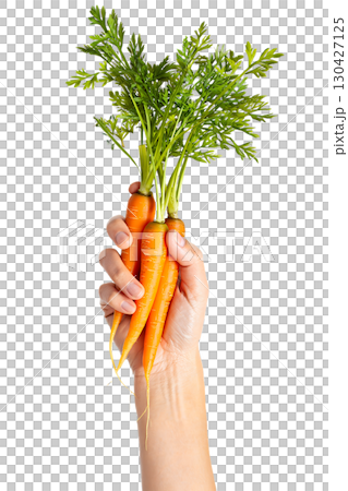 Hand holding bunch of fresh carrots with vibrant green tops, organic farm produce isolated on transparent background 130427125