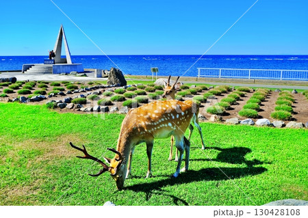 宗谷岬の風景 130428108