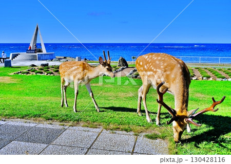 宗谷岬の風景 130428116