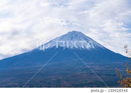 【富士山素材】晩秋の紅葉台から見る冠雪した富士山とうろこ雲【山梨県】 130428548