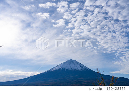 【富士山素材】晩秋の紅葉台から見る冠雪した富士山とうろこ雲【山梨県】 130428553