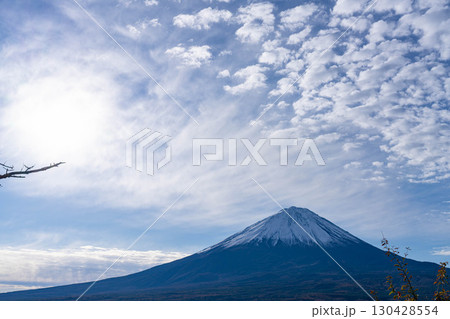 【富士山素材】晩秋の紅葉台から見る冠雪した富士山とうろこ雲【山梨県】 130428554