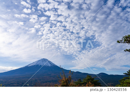 【富士山素材】晩秋の紅葉台から見る冠雪した富士山とうろこ雲【山梨県】 130428556
