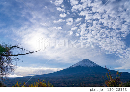 【富士山素材】晩秋の紅葉台から見る冠雪した富士山とうろこ雲【山梨県】 【富士山素材】晩秋の紅葉台から見る冠雪した富士山とうろこ雲【山梨県】 130428558