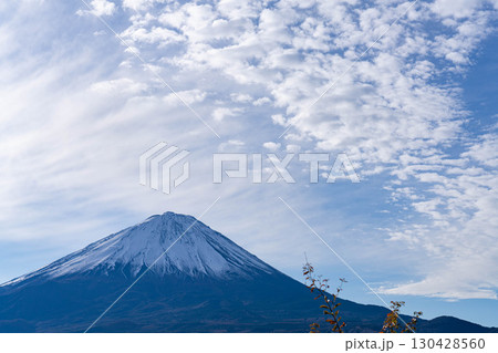 【富士山素材】晩秋の紅葉台から見る冠雪した富士山とうろこ雲【山梨県】 130428560