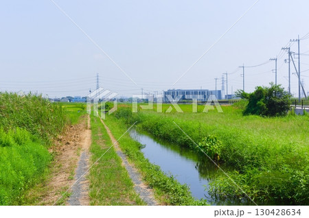 埼玉県吉川市吉川美南駅周辺2025年8月 130428634