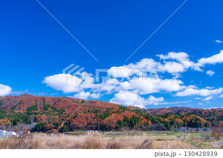 【秋素材】晩秋の白馬村の紅葉の様子と青空【長野県】 130428939