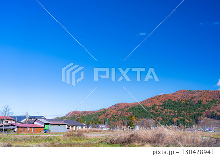 【秋素材】晩秋の白馬村の紅葉の様子と青空【長野県】 130428941