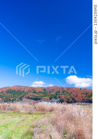 【秋素材】晩秋の白馬村の紅葉の様子と青空【長野県】 130428948