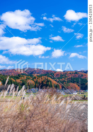 【秋素材】晩秋の白馬村の紅葉の様子と青空【長野県】 130428953