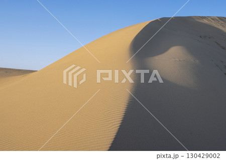 風紋(鳥取砂丘) 風紋(鳥取砂丘) 130429002