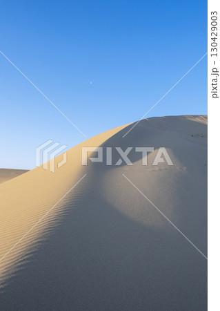 風紋(鳥取砂丘) 風紋(鳥取砂丘) 130429003