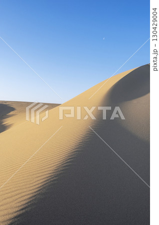 風紋(鳥取砂丘) 風紋(鳥取砂丘) 130429004